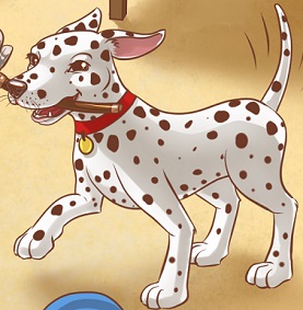 Dalmatian